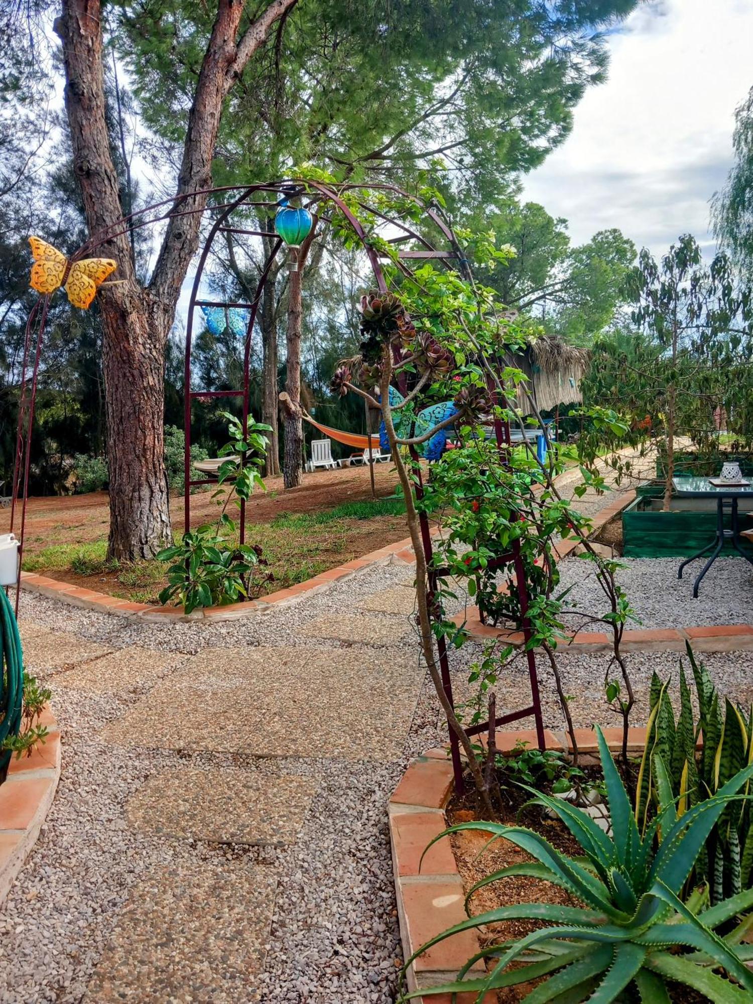 Boheme Valdareina, Piscine Chauffee, Benagil-Carvoeiro Apartment Карвоейро Екстериор снимка